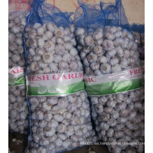 10kg Bolsa de Malla Ajo Blanco Normal